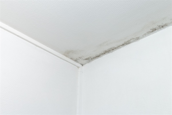 Hidden Risks of Ignoring Minor Storm Damage in Roofing: What Homeowners Should Know